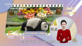 国产成人免费a在线资源